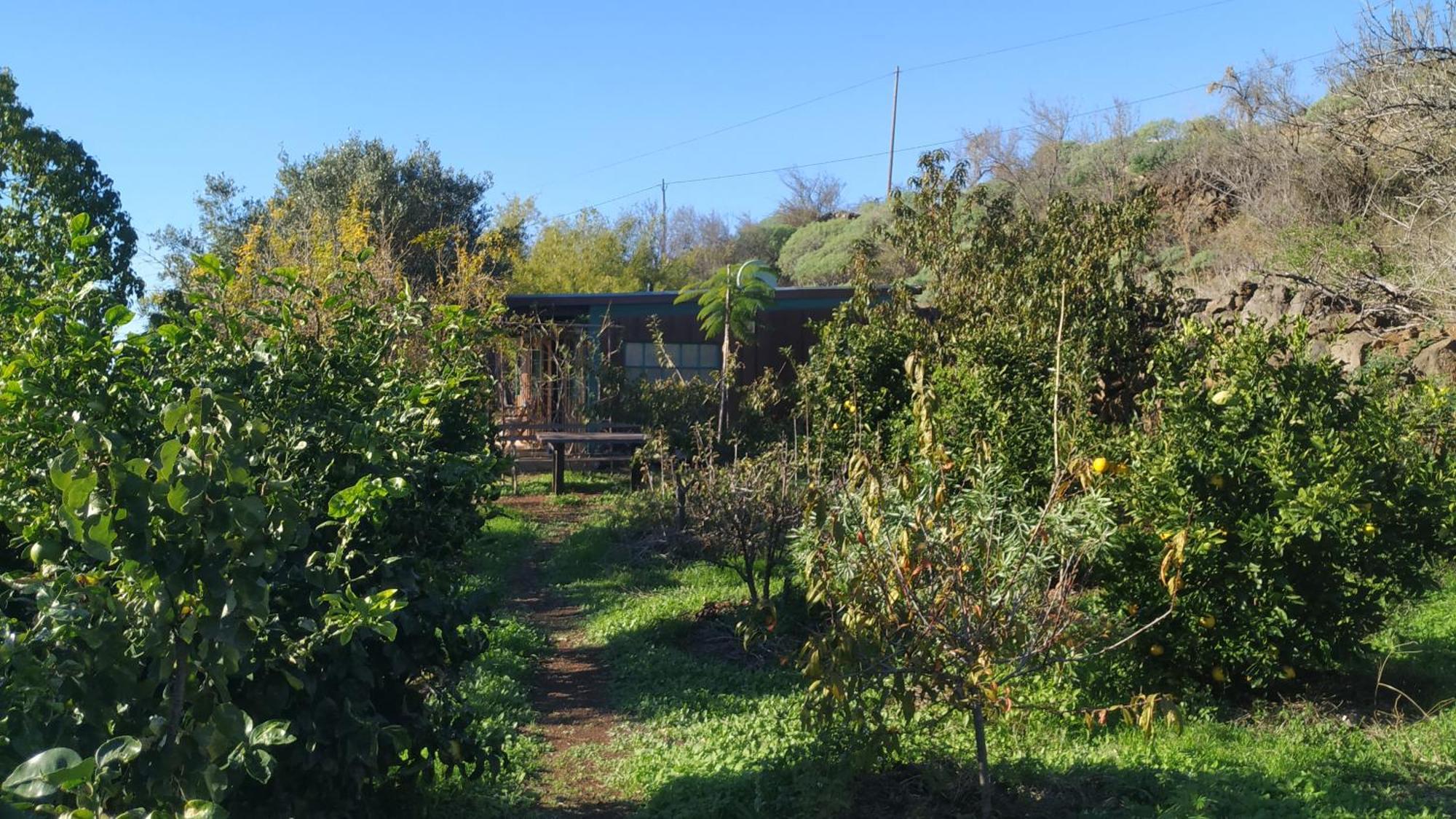 Panorama Holiday home Tijarafe